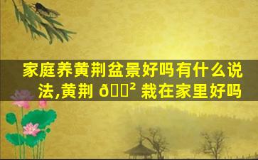 家庭养黄荆盆景好吗有什么说法,黄荆 🌲 栽在家里好吗